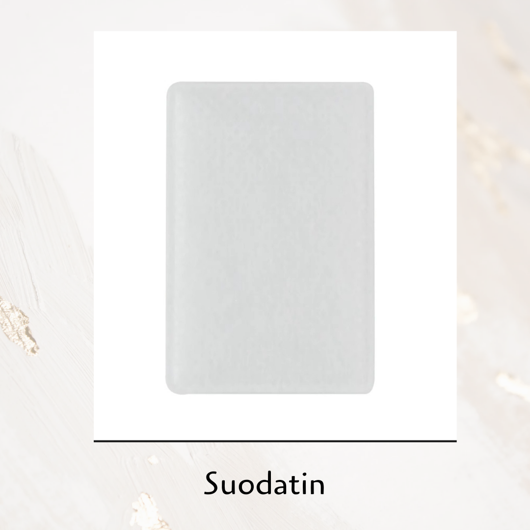Suodatin resmed 10